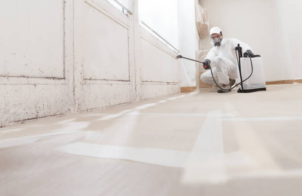 24/7 Emergency Mold Testing experts in West Point, VA
