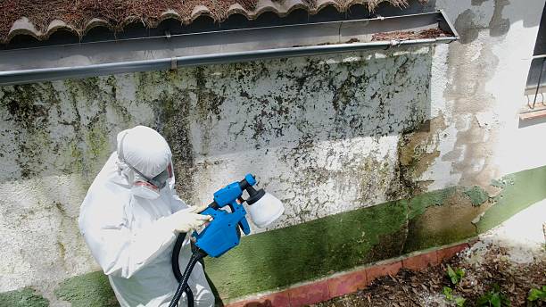Trusted Mold Inspection service in West Point, VA - Cheap Mold Removal